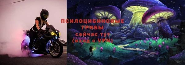 дмт Армянск